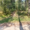 Camino de entrada a La Colmena al S del mismo