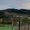 Mendoza