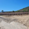 Collado hacia La Plana de Fuenmayor. A mano derecha, Agudillo.