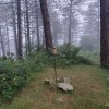 Maroto