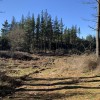 IMG_6861