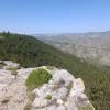 Cima