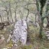 roca cimera