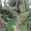 El principio del sendero es apenas una traza