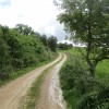 Pista hacia Los Morales.
