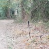 cima junto a la pista