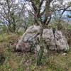 cima de Campuleria