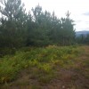 cima de La Esquina