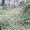 Entrada al pinar