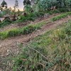 salimos a la pista que sube de Quintana