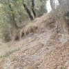 cima de La Dehesa E, con Eskorieta al fondo