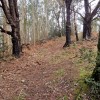 pista tras el colladp