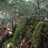 Cima sur a 20m del camino