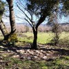Zona donde es posible que estaría ubicada la ermita de Santa Águeda.
