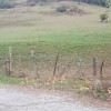 entrada al prado