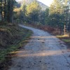 la pista de hormigon asciende en moderada pendiente