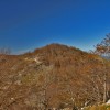 Tontorra