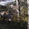 Indicador muy próximo a la cima