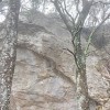 Pared junto a la cota (732)