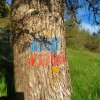 Marcas de pintura de la "Senda del Pico Navas y Sierra de Hontoria"