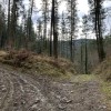 IMG_8885