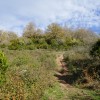 Senda que bordea el campo y la cumbre para ir al collado de la derecha