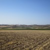 El cordal del Moncayuelo visto al S de la cumbre