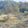 Cumbre desde la pista