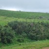 El cromlech de la facería visto desde Iropilgo bidea