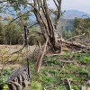 cima de Eskuza