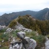 Cima