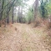 llegamos a la parte alta de la pista