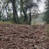 collado cercano a la cima