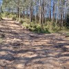 tras el collado llegamos a este cruce, donde cogemos el de la izquierda