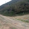 Hemen GR albora uzten da