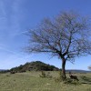 El Picacho (851 m)