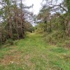 la pista gana altura hacia La Horquilla
