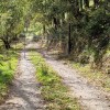 pista hacia el arroyo