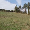 remontamos la ladera
