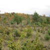Cerro visto al E