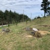 Reproducción de la ferrería de monte de Peñas Negras