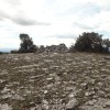 Cima.