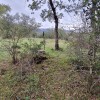 cima de a Horquilla