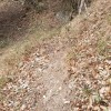 sendero hacia la cumbre